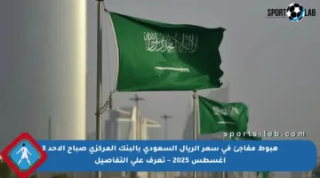 هبوط مفاجئ في سعر الريال السعودي بالبنك المركزي صباح الأحد 3 أغسطس 2025 – تعرف على التفاصيل